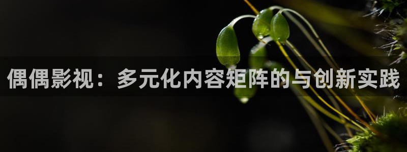 西瓜影院手机版免费观看：偶偶影视：多元化内容矩阵的与创新实践