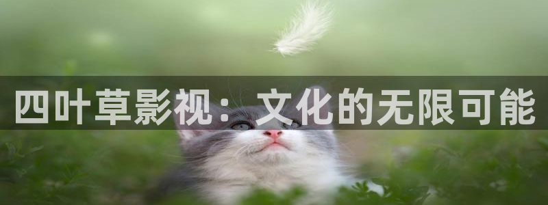 新妈妈西瓜影院：四叶草影视：文化的无限可能